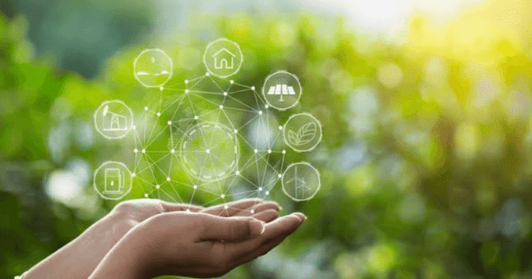 Understanding Digital Ecosystems